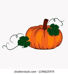 Pumpkin colorful icon. Orange pumpkin with green leaves and curly stems, vector illustration.