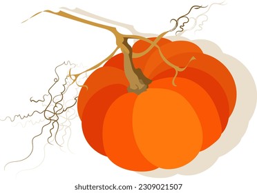  Pumpkin colorful icon. Vector illustration on white background.