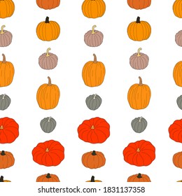Pumpkin colorful seamless pattern. Vector illustration isolated on white background. Healthy vegetarian food. Doodle style. Decoration for greeting cards, posters, patches, prints for clothes, emblems