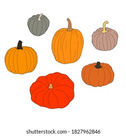 Pumpkin colorful set vector illustration isolated on white background. Healthy vegetarian food. Doodle style. Decoration for greeting cards, posters, patches, prints for clothes, emblems.