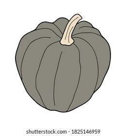 Pumpkin colorful vector illustration isolated on white background. Healthy vegetarian food. Doodle style. Decoration for greeting cards, posters, patches, prints for clothes, emblems.