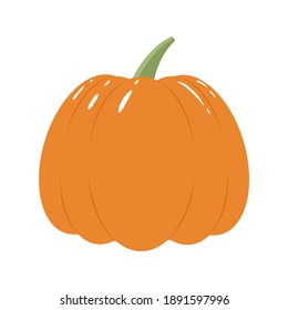 Pumpkin colorful vector illustration isolated on white background. Hand drawn style, cute doodle art. Agricultural concept. Vegetables for gardening. Healthy diet.