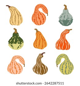 Pumpkin colorful vector set. Harvest flat illustrations