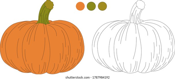 Pumpkin coloring book. Hand drawing coloring book for children and adults. Isolated over white background. For textile, paper, poster, postcard, children's book, coloring.