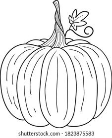 Pumpkin for coloring book. Line art design for kids coloring page.Isolated on white background.Vector illustration