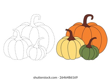 Pumpkin coloring pages for kids. Trace and color pumpkin thanksgiving. Pumpkin clipart outline vector. Thanksgiving fun activity coloring pumpkin vegetable for Kindergarten and preschool.