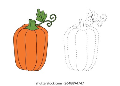 Pumpkin coloring pages for kids. Trace and color pumpkin thanksgiving. Pumpkin clipart outline vector. Thanksgiving fun activity coloring pumpkin vegetable for Kindergarten and preschool.