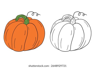 Pumpkin coloring pages for kids. Trace and color pumpkin thanksgiving. Pumpkin clipart outline vector. Thanksgiving fun activity coloring pumpkin vegetable for Kindergarten and preschool.