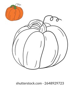 Pumpkin coloring pages for kids. Trace and color pumpkin thanksgiving. Pumpkin clipart outline vector. Thanksgiving fun activity coloring pumpkin vegetable for Kindergarten and preschool.