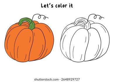 Pumpkin coloring pages for kids. Trace and color pumpkin thanksgiving. Pumpkin clipart outline vector. Thanksgiving fun activity coloring pumpkin vegetable for Kindergarten and preschool.