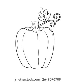 Pumpkin coloring pages for kids. Trace and color pumpkin thanksgiving. Pumpkin clipart outline vector. Thanksgiving fun activity coloring pumpkin vegetable for Kindergarten and preschool.