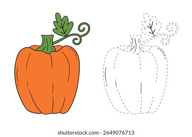 Pumpkin coloring pages for kids. Trace and color pumpkin thanksgiving. Pumpkin clipart outline vector. Thanksgiving fun activity coloring pumpkin vegetable for Kindergarten and preschool.