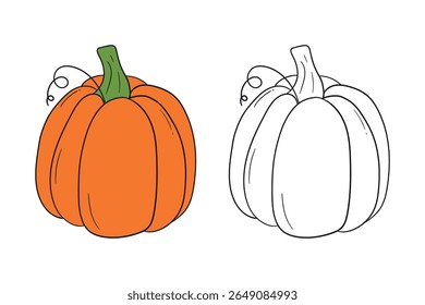 Pumpkin coloring pages for kids. Trace and color pumpkin thanksgiving. Pumpkin clipart outline vector. Thanksgiving fun activity coloring pumpkin vegetable for Kindergarten and preschool.