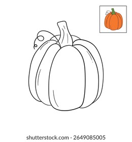 Pumpkin coloring pages for kids. Trace and color pumpkin thanksgiving. Pumpkin clipart outline vector. Thanksgiving fun activity coloring pumpkin vegetable for Kindergarten and preschool.