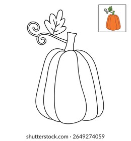 Pumpkin coloring pages for kids. Trace and color pumpkin thanksgiving. Pumpkin clipart outline vector. Thanksgiving fun activity coloring pumpkin vegetable for Kindergarten and preschool.