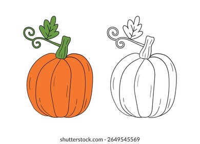 Pumpkin coloring pages for kids. Trace and color pumpkin thanksgiving. Pumpkin clipart outline vector. Thanksgiving fun activity coloring pumpkin vegetable for Kindergarten and preschool.