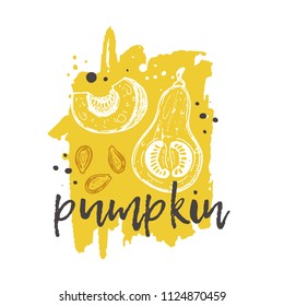 Pumpkin concept design. Hand drawn vector illustration. Vegetables. Can be used for farmers market, food festival, menu, cafe, restaurant, bar, poster, banner, emblem, sticker, placard.