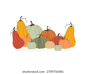 Pumpkin concept. Fruits of different varieties, colors, and sizes. Good harvest. Objects collected in a set. Organic food. Vector illustration.