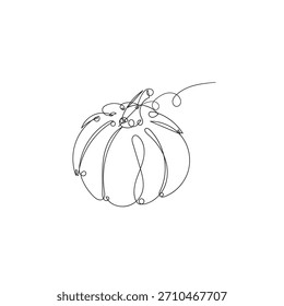 Pumpkin continuous line art. Pumpkin vegetable one line drawing. Halloween food vegetable concept vector illustration