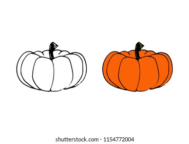 Pumpkin contour color icon