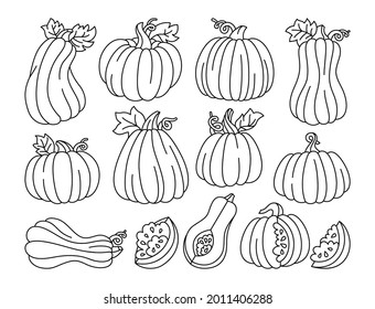 Pumpkin contour doodle set. Line ripe autumn various pumpkins, whole or slice. Cartoon Halloween or Thanksgiving Day festival symbol harvest collection. Hand drawn vegetable contour icon vector