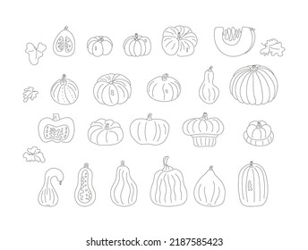 conjunto de ilustraciones vectoriales de contorno de calabaza