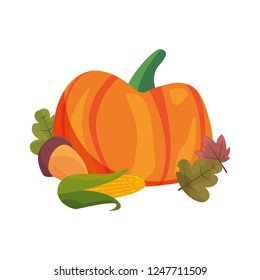 pumpkin corn acorn and leaves