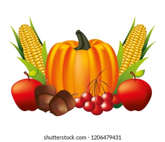 pumpkin corn apple acorn and cherries