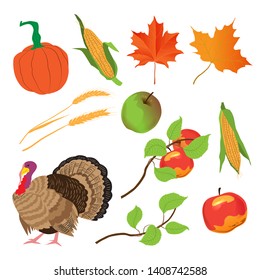 Pumpkin, corn, turkey bird and wheat ear. Vector illustration set for Thanksgiving Day. Isolated objects on a white background.