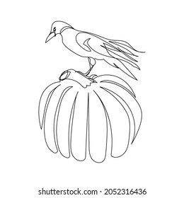 Pumpkin with crow one line art. Continuous line drawing of halloween theme, gothic, harvest, autumn mood, bird.