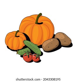 Pumpkin, cucumber, tomato, potato. Vector 3d sketch line isometric, color icon illustration, flat style. Creative design idea and elements for infographics and website.