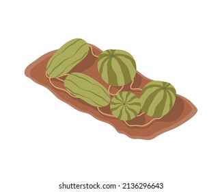 pumpkin cultivation isometric style icon