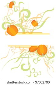 pumpkin curves banner