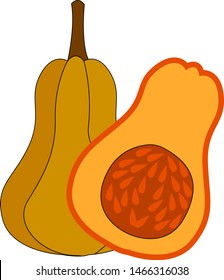 Cortar calabaza por la mitad, ilustración, vector sobre fondo blanco.
