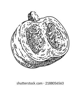 pumpkin cut hand drawn vector. slice autumn, piece food, squash, open top seed pumpkin cut sketch. isolated black illustration