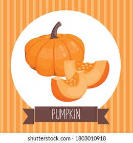 Calabaza y corte rebanadas. Ilustración vectorial en un fondo blanco aislado.
