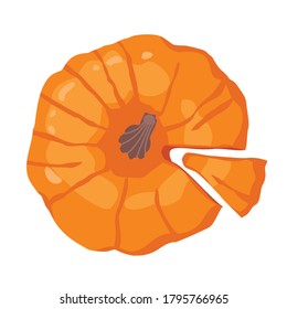 Pumpkin with a cut slice, top view. Vector drawing on a white background isolated. Doodle.