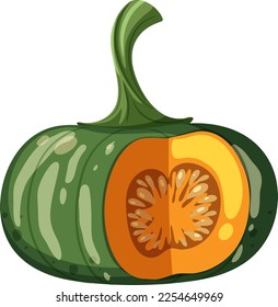 Pumpkin cut vector on white background illustration