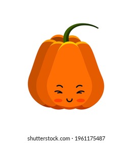 Pumpkin cute character icon isolated on white. Thanksgiving, halloween pumpkin emoticon. Farm harvest, closeup squash. Kawaii flat design cartoon gourd. Vector food vegetable illustration