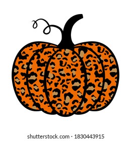 Pumpkin. Cute pumpkin with leopard print. Leopard pumpkin.