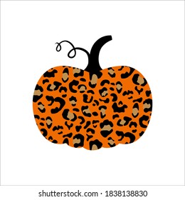 Pumpkin. Cute pumpkin with leopard print. Leopard pumpkin.