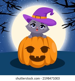 Pumpkin And Cute Wizard Cat At Halloween Night