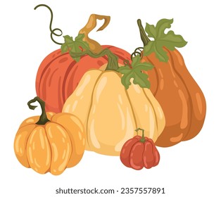 Pumpkin day card or background. vector illustration.
