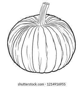 Pumpkin Design 1 with Stem Design 3 Line Art Illustration 

