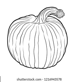 Pumpkin Design 2 with Stem Design 4 Sketch Line Art Illustration