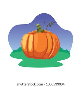 Pumpkin design, Fruit healthy organic food sweet and nature theme Vector illustration