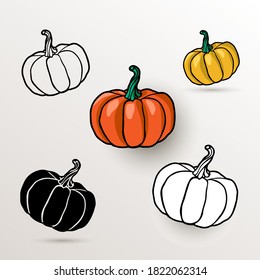 Pumpkin design, orange pumpkin, vegetable crop. Vector set.