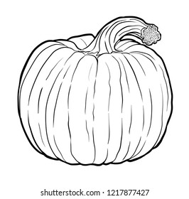 Pumpkin Design with Stem Design Sketch Line Art Illustration
