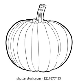 Pumpkin Design with Stem Design Sketch Line Art Illustration
