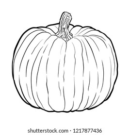 Pumpkin Design with Stem Design Sketch Line Art Illustration
